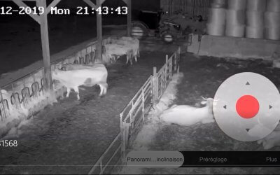 Installation vidéo-surveillance élevage